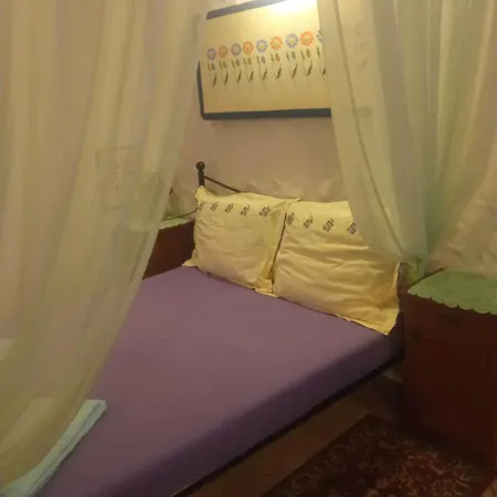 Apartment Apartment Vodice