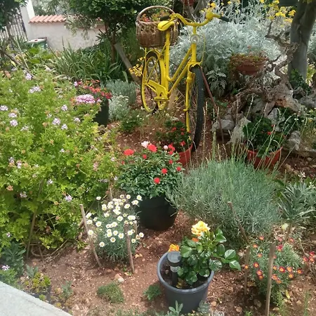 Apartment Vodice Apartment *